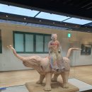 도갑사 성보박물관 이미지