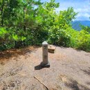 버스정류장 07-195 이미지