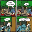 네코냥 - 포항시 남구 | 네코냥