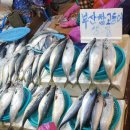 죽도낚시.슈퍼