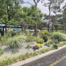 앞 교통섬 이미지