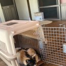 보경종합동물병원 이미지