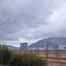 낙동강관리본부 화명생태공원 11 이미지