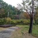 화서휴게소 이미지