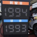 신호석유