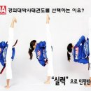 경희대광교태권도 이미지