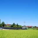 박사마을 이미지