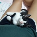 이가숯불화로구이 이미지