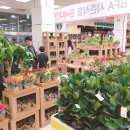 O.Kmart 이미지
