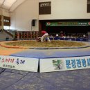 문경 씨름장 이미지