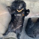 서열농장 | 세종 단풍 명소 데이트 코스 추천! 베어트리파크 추천 후기