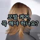해피오헤어