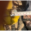 태강빌딩 이미지