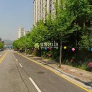 분당로263번길 이미지