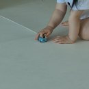 개미카 | [잇템공유] 가성비 대만족! 두 돌 아기 취향 저격한 다이소 '미니카 세트' 솔직 후기