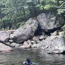 들꽃향기민박 이미지