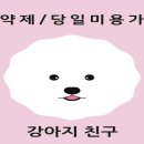 주주클럽 애견샵 이미지