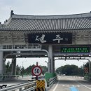 삼일관 | 집 타지 사람 솔직후기 | 가격,메뉴추천,주차꿀팁...곳 | 시골촌,삼백집,삼일관,한미반점 객리단길 식당...