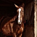 창조 태권도장 이미지