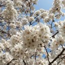 창원대로 이미지