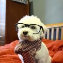 생활중국어 이미지