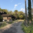 별장 | Ep77. 제주 커피 오마카세 ( 커마카세 ) 중문별장 후기