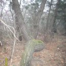 질재로 3 이미지