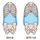 필라테스;단 이미지