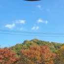 장남보건소 이미지