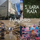 지호네신발종합 백화점 | 후쿠오카 쇼핑 맛집 필수 코스 텐진역 솔라리아 플라자 후기