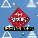 ㈜라온잇 티스토리