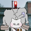 오블롱 이미지
