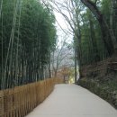 한국에서 가장 아름다운 정원 중의 한 곳 소쇄원 이미지