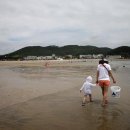 갯벌민박 이미지