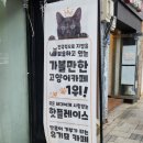 집사의하루 혜화점 이미지
