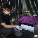경남야생동물구조센터 뉴스1