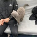 찰스아카데미 | [구의] 건대 테니스 찰스 테니스 아카데미 구의점 레슨후기