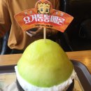 설빙신 이미지