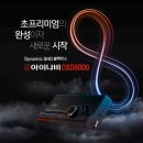 틴팅파일럿