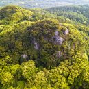 서ㆍ호근동 이미지