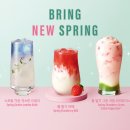 스타벅스 성남모란DT점