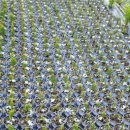 상록수농장 이미지