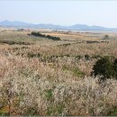 배산농원 이미지