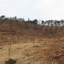 황재농장 이미지