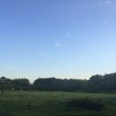 몽마르뜨 이미지