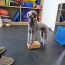 소노캄 고양 휘트니스 이미지