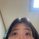 대창카센타 | [일상] 여름 종말론