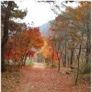 칠보산 등산로 이미지