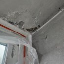 남광로얄아파트 이미지