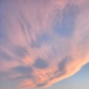 장사항 낚시점 이미지